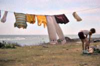 Documentary Festival