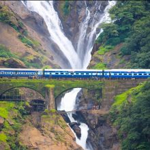 Dudhsagar Waterfall Trek and Revdanda Beach Camping